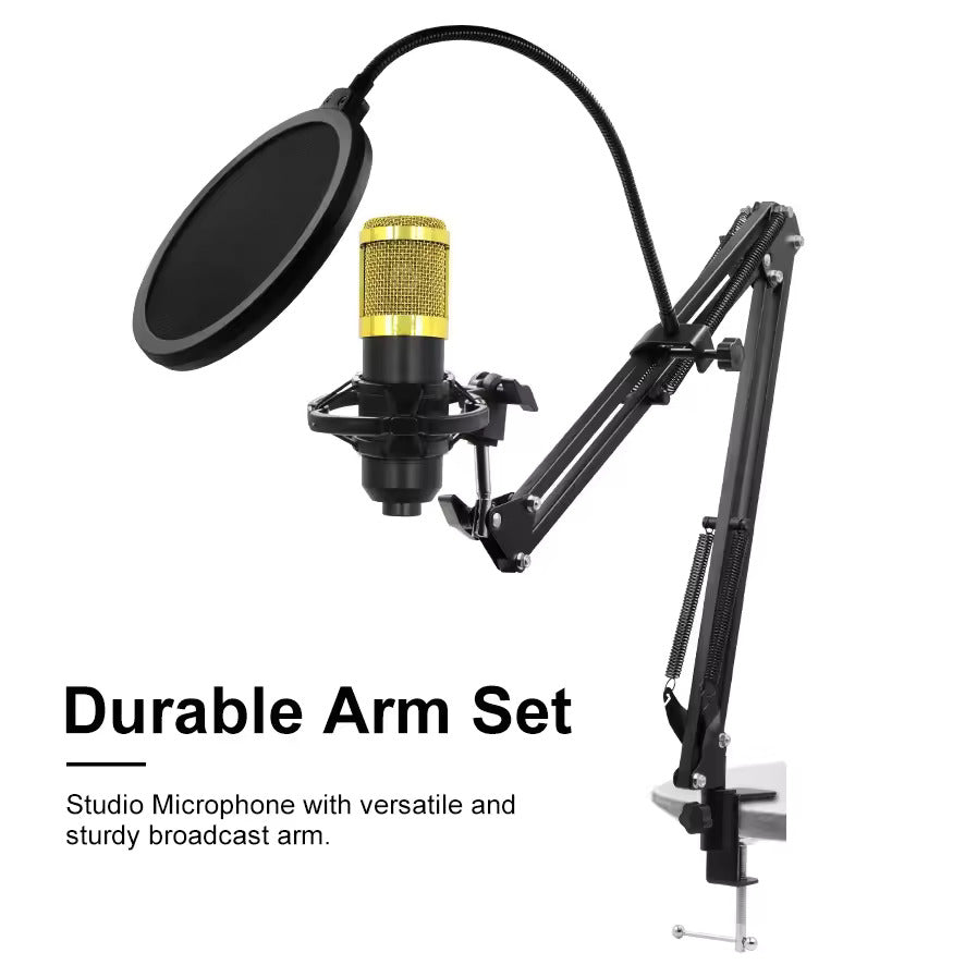 Hridz BM-800 Gold Studio Condenser Microphone Kit with Boom Arm & Pop Filter