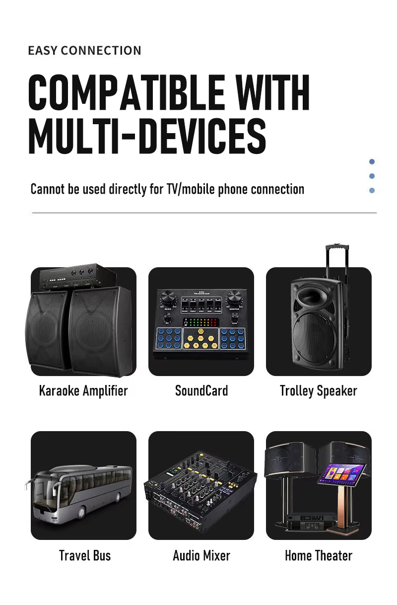 Hridz CT-80S 8 Channel Audio Mixer & U8 Dual 2.4GHz Wireless Microphone Karaoke Bundle